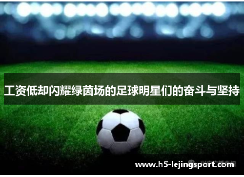 工资低却闪耀绿茵场的足球明星们的奋斗与坚持